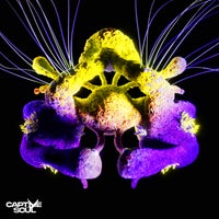 TH;EN & Carlo Whale - Fragments of Light (Extended Mix) album artwork