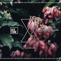 Benny di Gioia & Joe Mangione - I Won t Let You Go [Acetone]