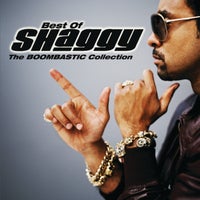 Shaggy Feat. Brian & Tony Gold - Hey Sexy Lady (Zorden & Lukade Remix) album artwork