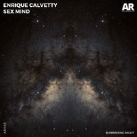 Enrique Calvetty & S Mind - Shimmering Night [Audioreaktor]