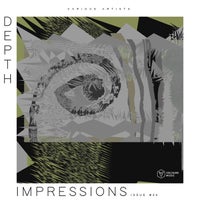VA - Depth Impressions Issue 24 [Voltaire Music]