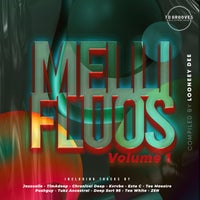 VA - Mellifluous Vol.1 By Looney Dee - (TDGrooves Records)