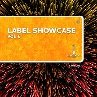 VA - Label Showcase Vol. 6 [Experiment Records]