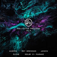 VA - Collective Process Vol. 8 SOMA654D