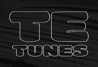 T.E Project