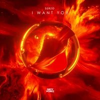 Serzo - I Want You (Extended Mix) album artwork