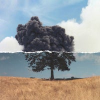 Sharleen Hector & Wilkinson - I Believe album artwork