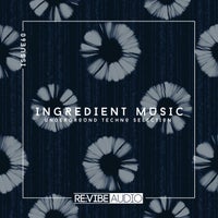 VA - Ingredient Music Vol. 60 [Re vibe Audio]