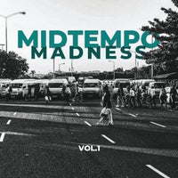 VA - Midtempo Madness, Vol. 1 [Deep Inspiration Show Records]