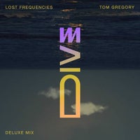 Lost Frequencies & Tom Gregory - Dive (Deluxe Mix) album artwork