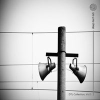 VA - DTL Collection Vol.5 [Deep Tech Lab]