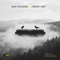 Sam Scheme & Jiminy Hop - Poulia #14 album artwork
