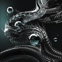 Kanine & Doktor - Warning album artwork