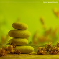 VA - Lounge & Ambient Music [Stereoheaven]