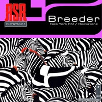 Breeder - New York FM (Sander Kleinenberg Remix) album artwork