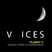 VA - Planet V - V.A 003 [Voices Records]