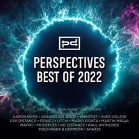 VA - Perspectives Best of 2022 PSDI2022