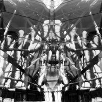 VA - Lattice [Amphiboly Records]