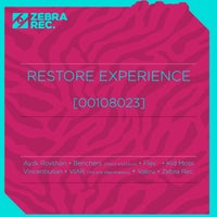 VA - Restore Experience (00108023) 1674974