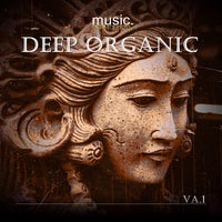 VA - Deep Organic, Vol. 1 [PIM002]