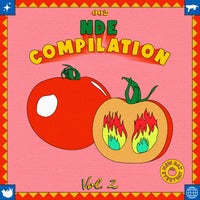 VA - NDE Compilation 002 Vol.2 NDEC003