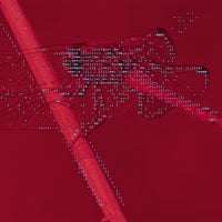 Sainte Vie - Unconditional (Xinobi Remix) album artwork