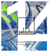 VA - The Selador Showcase - The 14th Adventure, Pt. 2 [SEL141D]