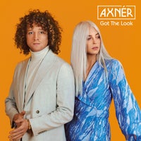 AXNER - Got The Look (+ Al Kent Mixes) - (Disco Freaks Recordings)