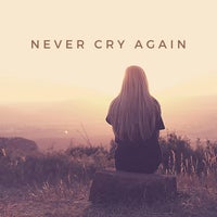 Dash Berlin - Never Cry Again (Original Vocal Mix) album artwork