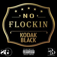 Kodak Black - No Flockin album artwork