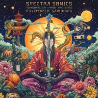 Spectra Sonics & Mirok - Modulation Depth album artwork