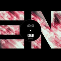 dAPULEO - Funky Floor album artwork
