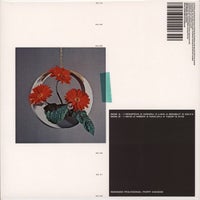 Polygonia & Simon Popp - Imber album artwork