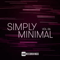 VA - Simply Minimal, Vol. 06 [LW Recordings]