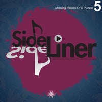 VA - Missing Pieces of a Puzzle, Vol. 5 [Cosmicleaf Records]