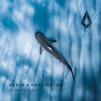 Deviu & Garlington - Sounder (Extended Mix) album artwork