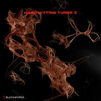 VA - Hard Hitting Tunes 2 [Blackworks]