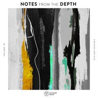 VA - Notes from the Depth Vol. 25 [ZR001]