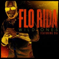 Flo Rida - Wild Ones (feat. Sia) album artwork