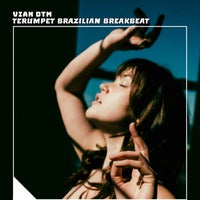 Vian DTM - Terumpet Brazilian Breakbeat album artwork