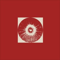 Cavüm - Primitive Introduction album artwork