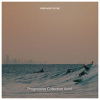 VA - Progressive Collection Vol. 15 [FM053LP] [FLAC]