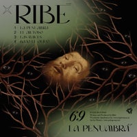 Ribé - Bajo el Olivo (Original mix) album artwork
