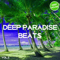 VA - Deep Paradise Beats, Vol. 5 [Tronic Soundz]