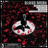 Timmy Trumpet, Steve Aoki & 3rd Wall - Nessun Dorma (feat. Pavarotti) album artwork