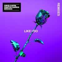 David Guetta, Martin Garrix & Brooks - Like I Do (Upsilone Remix) album artwork
