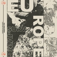 VA - Surviving in Europe [She Lost Kontrol]