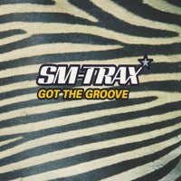 SM-Trax - Got the Groove (Remix) [Mixed] album artwork