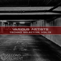 VA - Techno Selectiva Vol.13 [Second Segment Records]