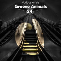 VA - Groove Animals 24 DG399L